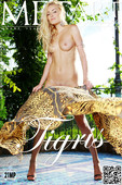 Liza B Tigris Met Art